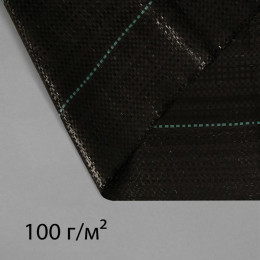 Агроткань застилочная, 10 × 3,2 м, плотность 100 г/м², полипропилен, чёрная