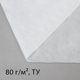 Материал укрывной, 10 × 1,6 м, плотность 80 г/м², с УФ - стабилизатором, белый, Greengo, Эконом 20%