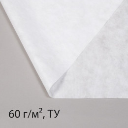 Материал укрывной, 3,2 × 5 м, плотность 60, с УФ-стабилизатором, белый, Greengo, Эконом 20 %