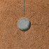 Круг приствольный, d = 0,4 м, из кокосового полотна, набор 5 шт., «Мульчаграм»