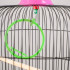 Клетка для птиц круглая, двухъярусная сварная, большой поддон, 39 x 44 см, микс цветов