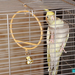 Качели для птиц круглые d 11,5 см, с колокольчиком, бежевые